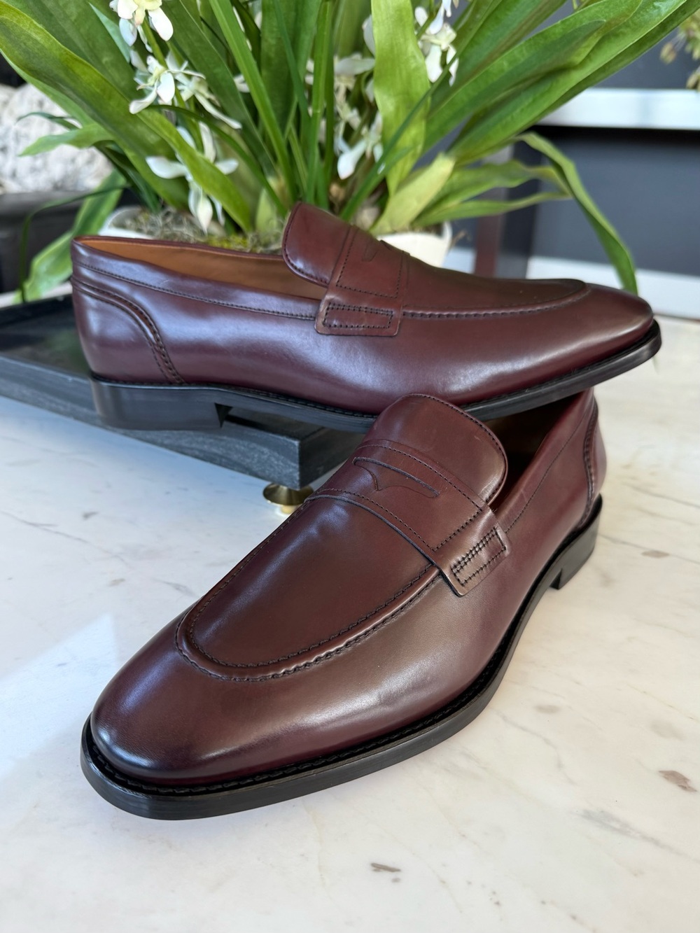 New Allen Edmonds Eli Leather Penny Loafers - Picture 4 of 16